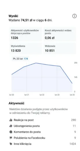Wyniki kampanii Meta Ads